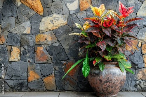 A Large Croton in a Ceramic Pot Against a Stone Wall Decorates the Garden