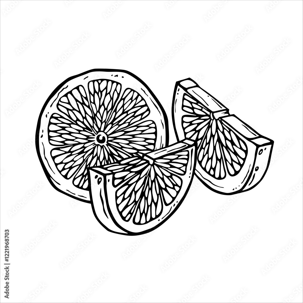 Fototapeta premium Slices of lemon, lime or other citrus fruit drawn in black and white. Linear drawing of a composition of tropical fruit wedges. Sliced citron in ink graphics for design of menu, packaging, label