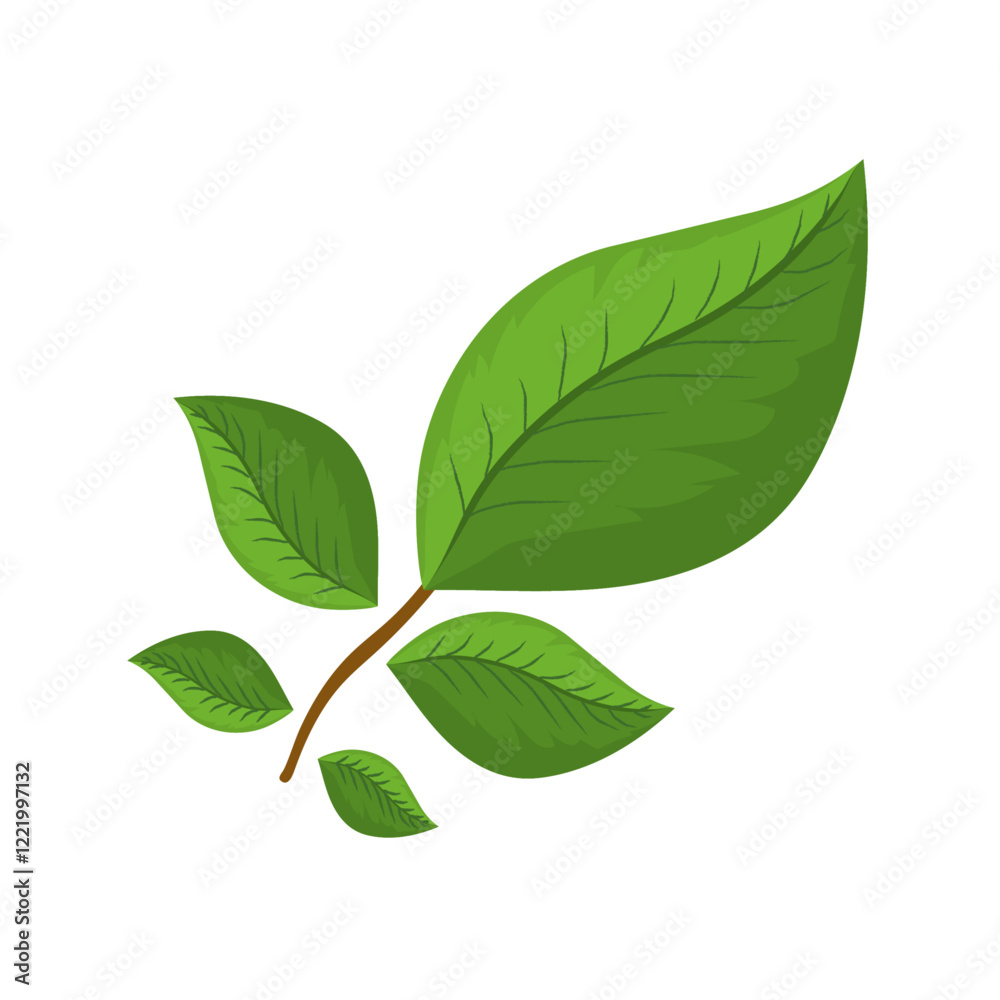 Fototapeta premium green leaves vector