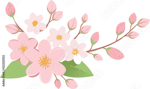 桜　サクラ sakura　 cherryblossoms  春