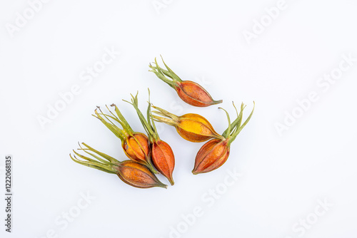 Natural color and flavor - dried yellow gardenia