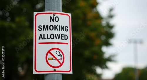 A sign explicitly forbidding smoking
