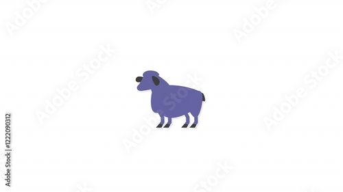 sheep photo