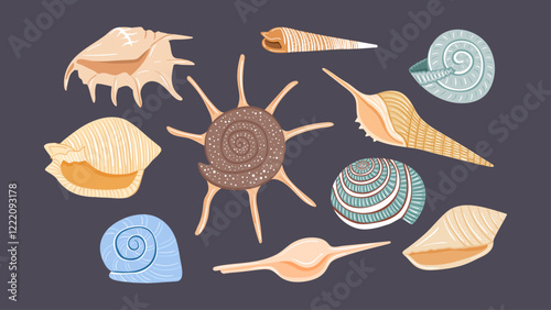 Set of seashells in hand drawn style. Vector design elements for print, stickers, greeting cards