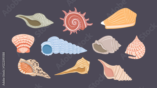 Set of hand drawn seashells. Vector design elements for print, stickers, greeting cards