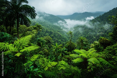 Lush Green Rainforest Landscape with Misty Mountains in the Background, Ideal for Nature Themes