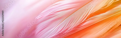 Colorful Blue and Pink Feathers Close-Up