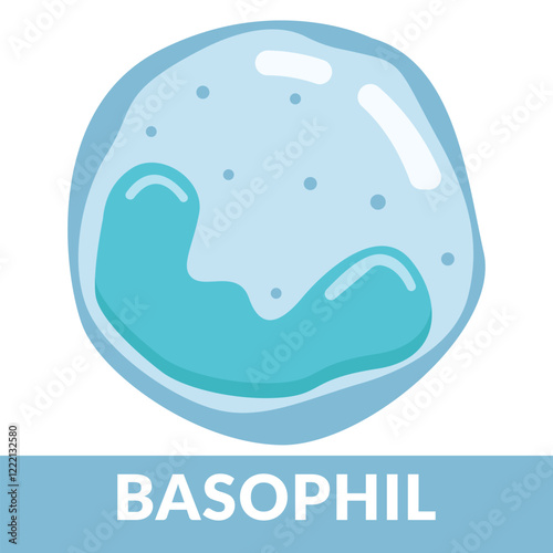 Type of white blood cells Basophil Design Illustration