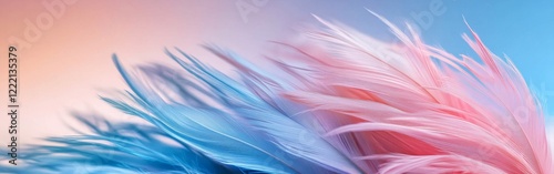 Colorful Blue and Pink Feathers Close-Up