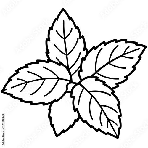 Mint Leaves Design Outline