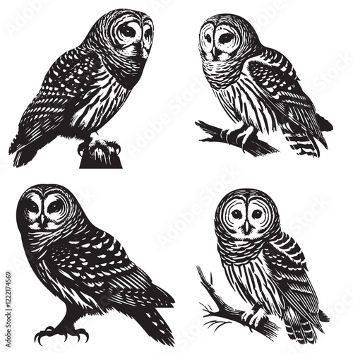 High-Quality Vector Silhouette of a Barred Owl on White Background"