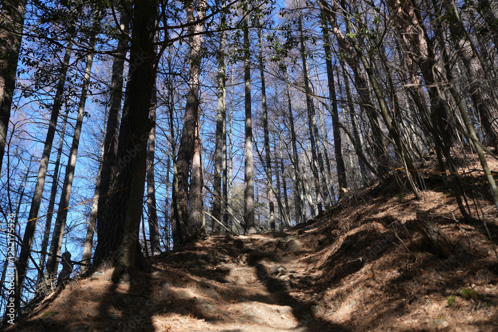 Scenery of mountain trail of Mt.takazuyasan in Komagane City, Nagano Prefecture. Scenery of mountain trail of Mt.takazuyasan in Komagane City, Nagano Prefecture.