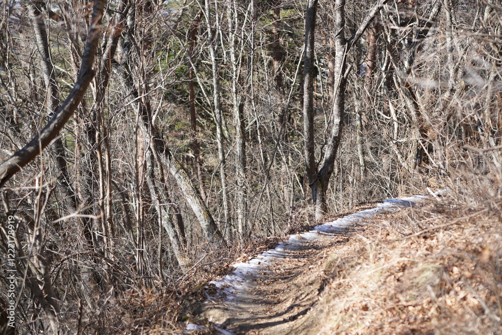 Scenery of mountain trail of Mt.takazuyasan in Komagane City, Nagano Prefecture. Scenery of mountain trail of Mt.takazuyasan in Komagane City, Nagano Prefecture.