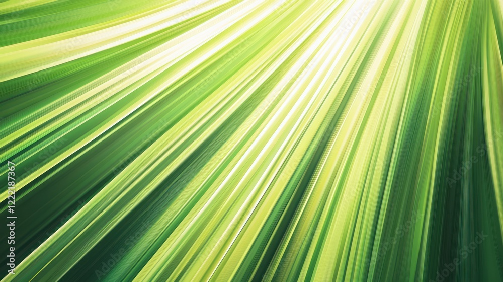 Bright rays of light through green foliage. Use for background images, or nature concepts Bright rays of light through green foliage. Use for background images, or nature concepts