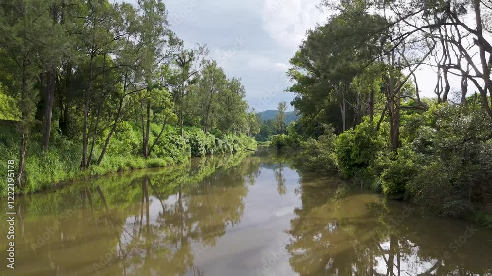 Serene River Flowing Through Lush Forest Serene River Flowing Through Lush Forest