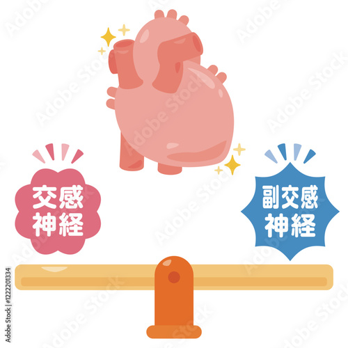 バランスの取れた自律神経と健康的な心臓のイラスト