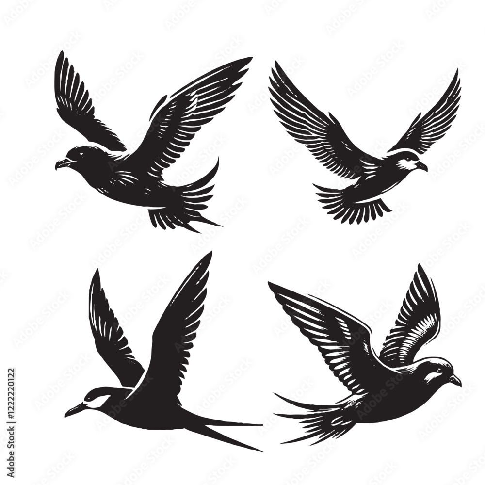 High-Quality Vector Silhouette of a Flying Bulwer’s Petrel on White Background High-Quality Vector Silhouette of a Flying Bulwer’s Petrel on White Background