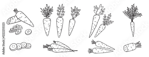 carrots, whole vegetable and piece of carrot doodle hand drawn icon set. Outline drawing carrot line clipart symbol collection