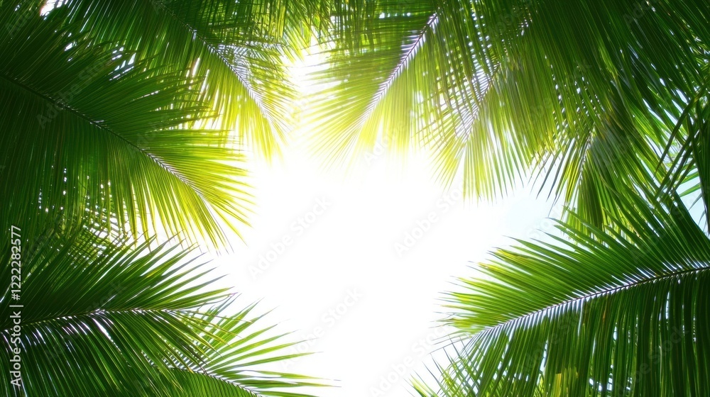 Fototapeta premium Sunlight Filtering Through Lush Green Palm Leaves Above View