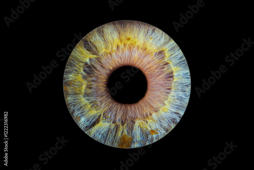 Iris humain artistique- photographie yeux
