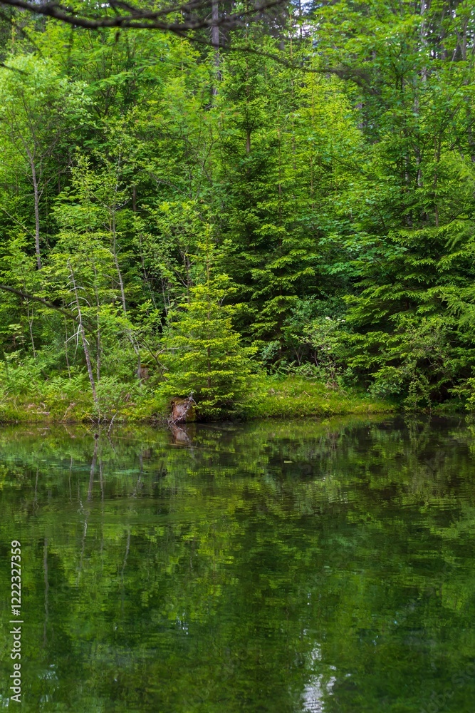 Beautiful landscape with the mountain lake Grner See in Austria and the forest reflected in the water. Beautiful landscape with the mountain lake Grner See in Austria and the forest reflected in the water.
