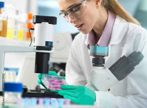 Cell Research, Scientist placing a multi well plate under the microscope ready to examine cells in the laboratory photo