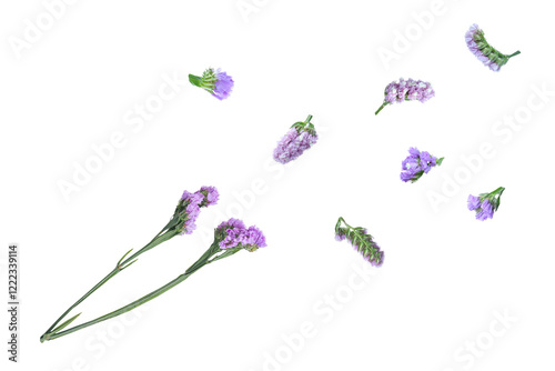 Wavyleaf sea lavender, Beautiful flowers of Statice or Limonium Sinuatum flowers falling in the air with clipping path. photo