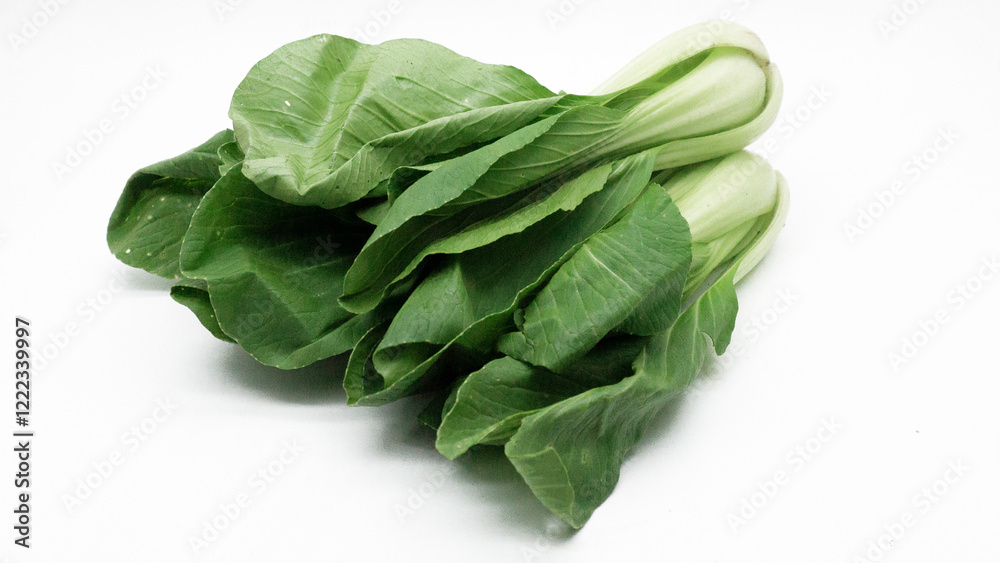 Bok choy or pak choi, pakcoy (Brassica rapa subsp. chinensis) vegetable, isolated on the white background. Bok choy or pak choi, pakcoy (Brassica rapa subsp. chinensis) vegetable, isolated on the white background.