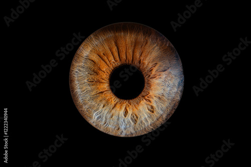 iris beauté yeux photo des yeux photos d'iris	
