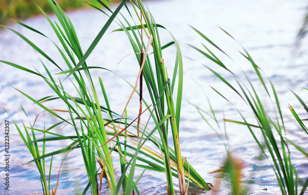 Obraz premium Water surface. The texture of the water. Waves on the lake in windy weather.