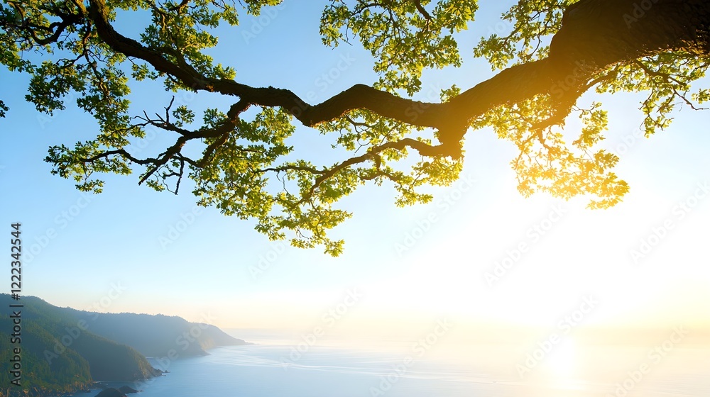 Serene Sunrise Over Ocean with Tree Branches Framing Horizon Serene Sunrise Over Ocean with Tree Branches Framing Horizon