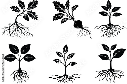 Seed vector set design, Seed silhouette vector art, Seed line art vector illustration