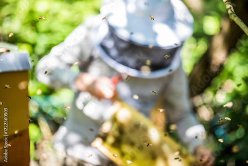 Flying honeybees, beekeeper checking honeycomb in the background