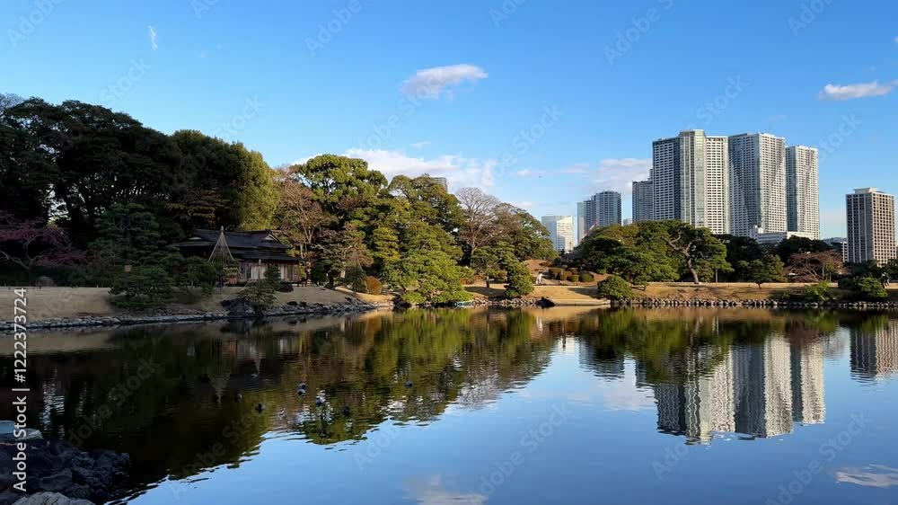 Hama Rikyu Gardens pond reflects trees, skyline, and serene nature in vibrant sunlight Hama Rikyu Gardens pond reflects trees, skyline, and serene nature in vibrant sunlight