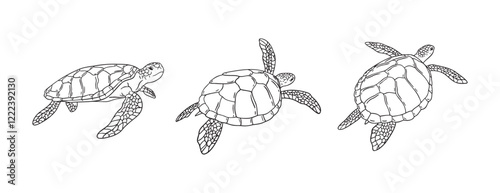 Stripes sea turtle swimming. realistic sea turtle doodle hand drawn isolated line black icon 