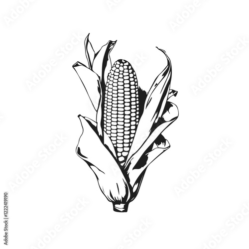 Corn Line Drawing. Corn Plant Vector Outline Illustration. Agriculture Concept Simple Contour Art Black Sketch Isolated on White Background. Organic Vegetable Design in Sketch Style