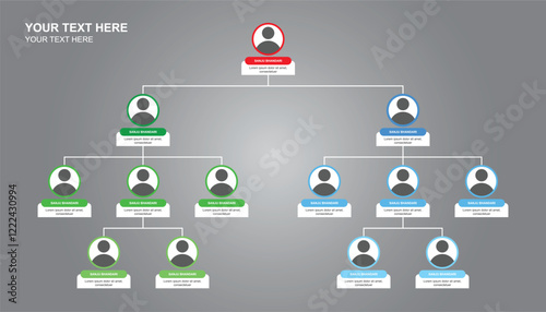 Long business team tree. business hierarchy organogram chart infographics. tree diagram. team management. organizational chart. company organization branches template