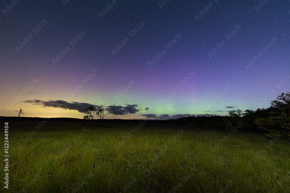 Fototapeta premium Seli Bog under the cover of the Northern Lights: a colorful night sky with a myriad of stars over the mysterious landscape of the Estonian bog.