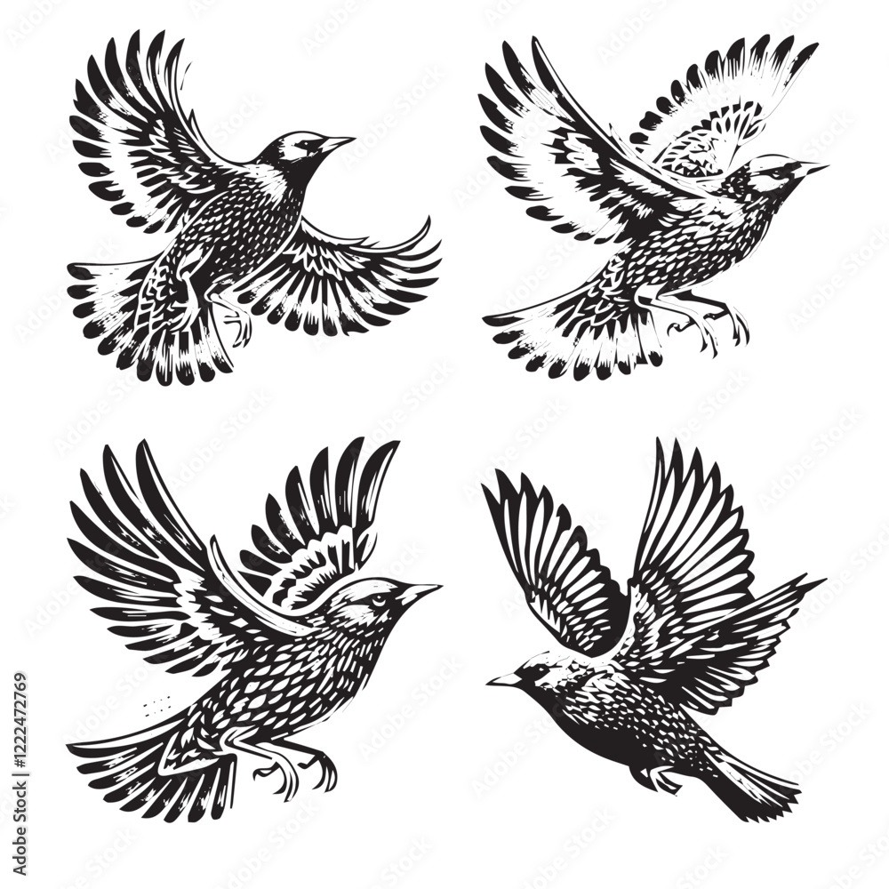 Obraz premium High-Quality Vector Silhouette of a European Starling on White Background
