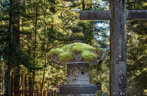 Fototapet Nikko Japan, stone tower overgrown with green moss and a gate of a torii gate at the Japanese Toshogu Shrine at daytime in winter in Nikko in Japan