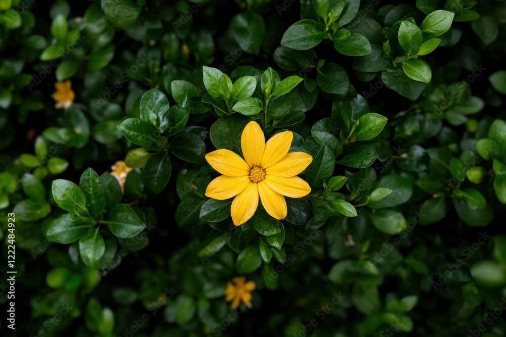 Obraz premium A lone yellow flower stands out amid a backdrop of rich green foliage, embodying uniqueness and beauty in nature, perfect for minimalistic or botanical themes.