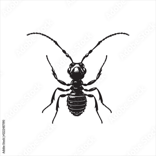 Termites vs. Ants: Key Differences Explained
