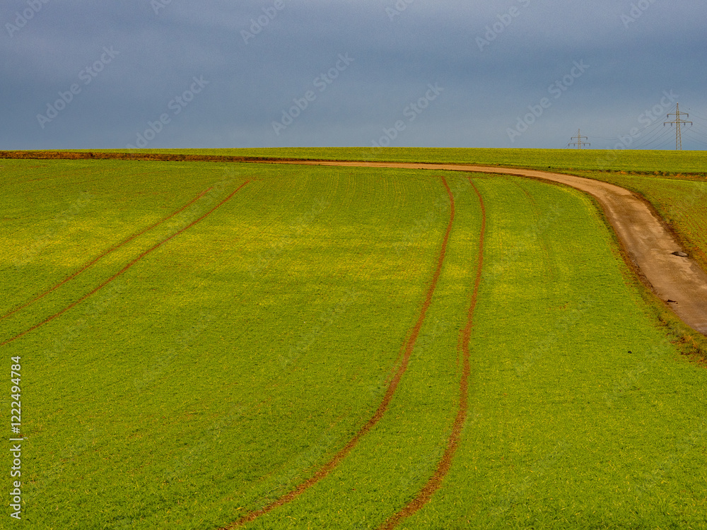Fototapeta premium Fahrspuren im Feld