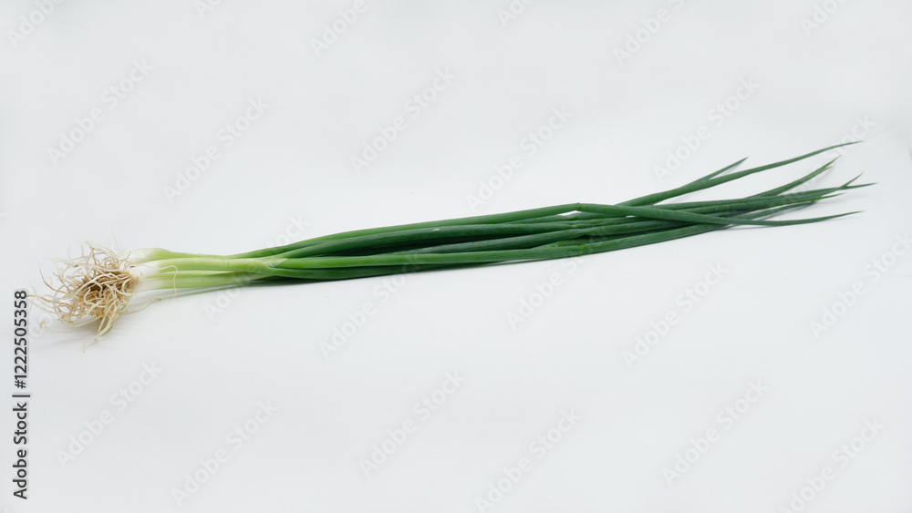 Fototapeta premium fresh leek or daun bawang on a white background 