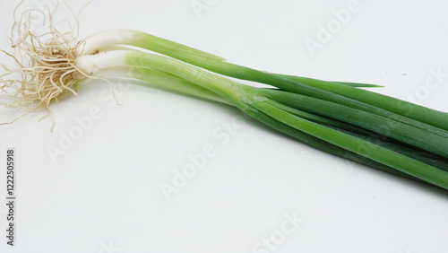 fresh leek or daun bawang on a white background
