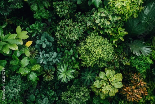 An aerial view of a dense foliage featuring an array of lush green plants, radiating vibrant life and the richness of nature's ecosystem in a vivid and refreshing display.