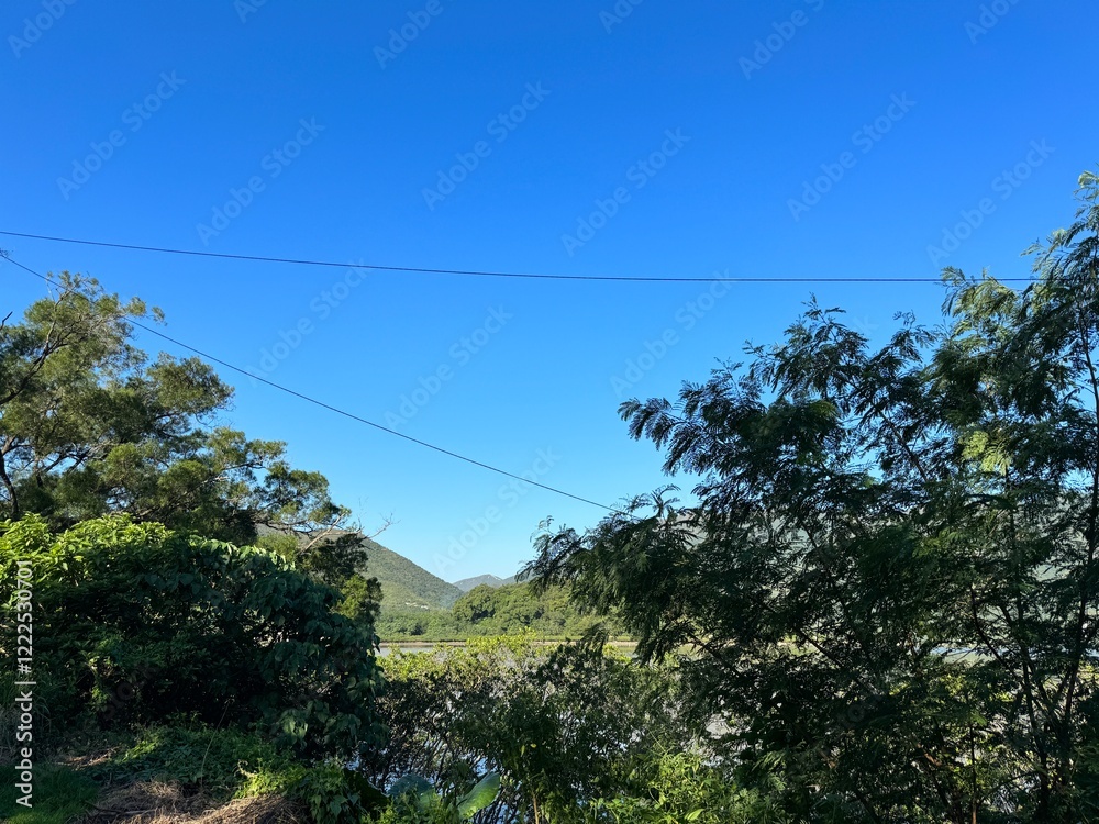 Obraz premium landscape