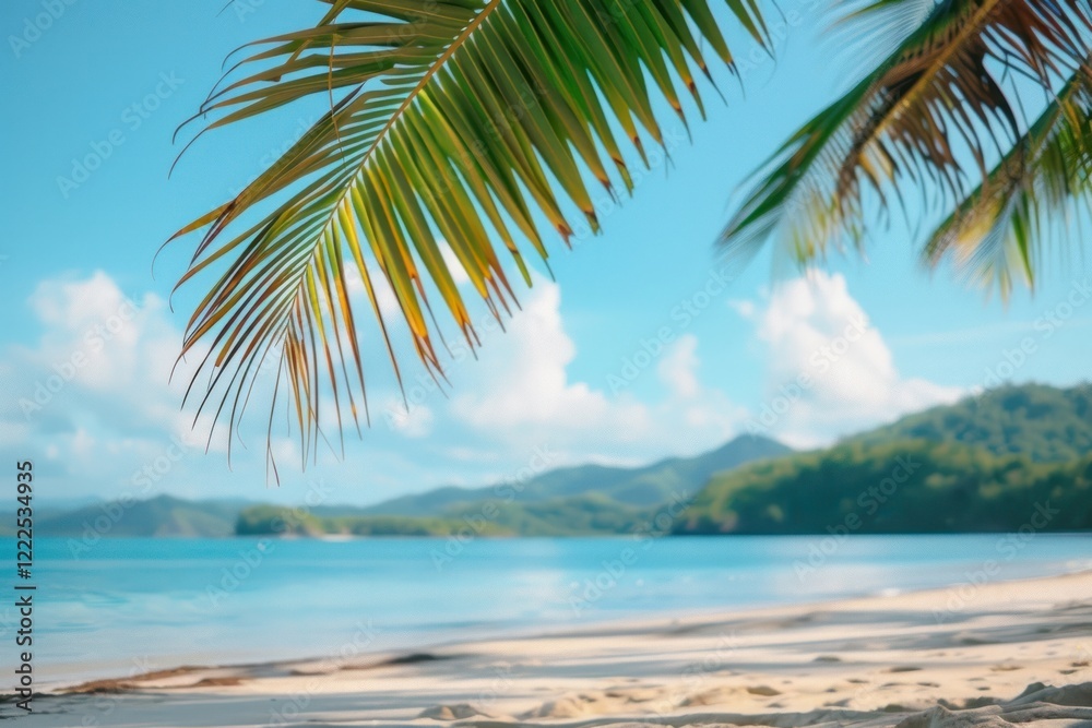 Fototapeta premium Beach landscape outdoors horizon.