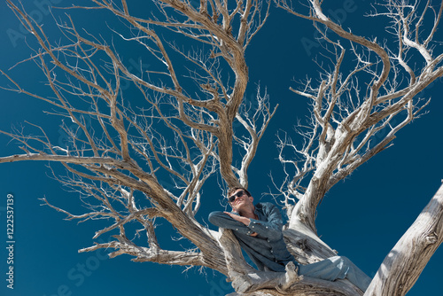 Happy man sitting on branch of tree under clear sky photo