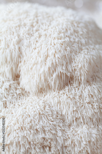 Lion's mane - Hericium erinaceus, medicinal mushroom, healthy fungus for brain function., It can be harvested for culinary use, acontains polysaccharides, such as β-glucan, hericenones and erinacines.